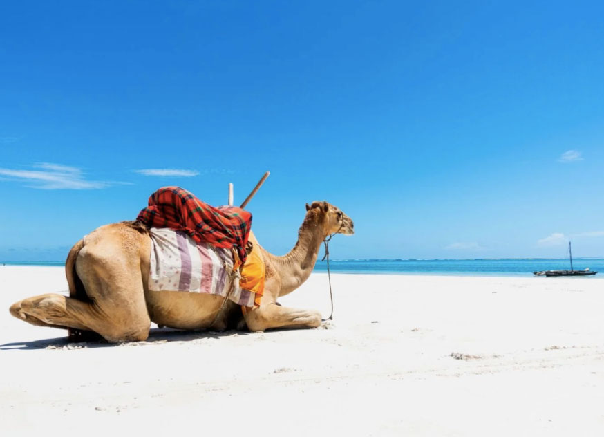 couple friendly vacation villa Diani Beach